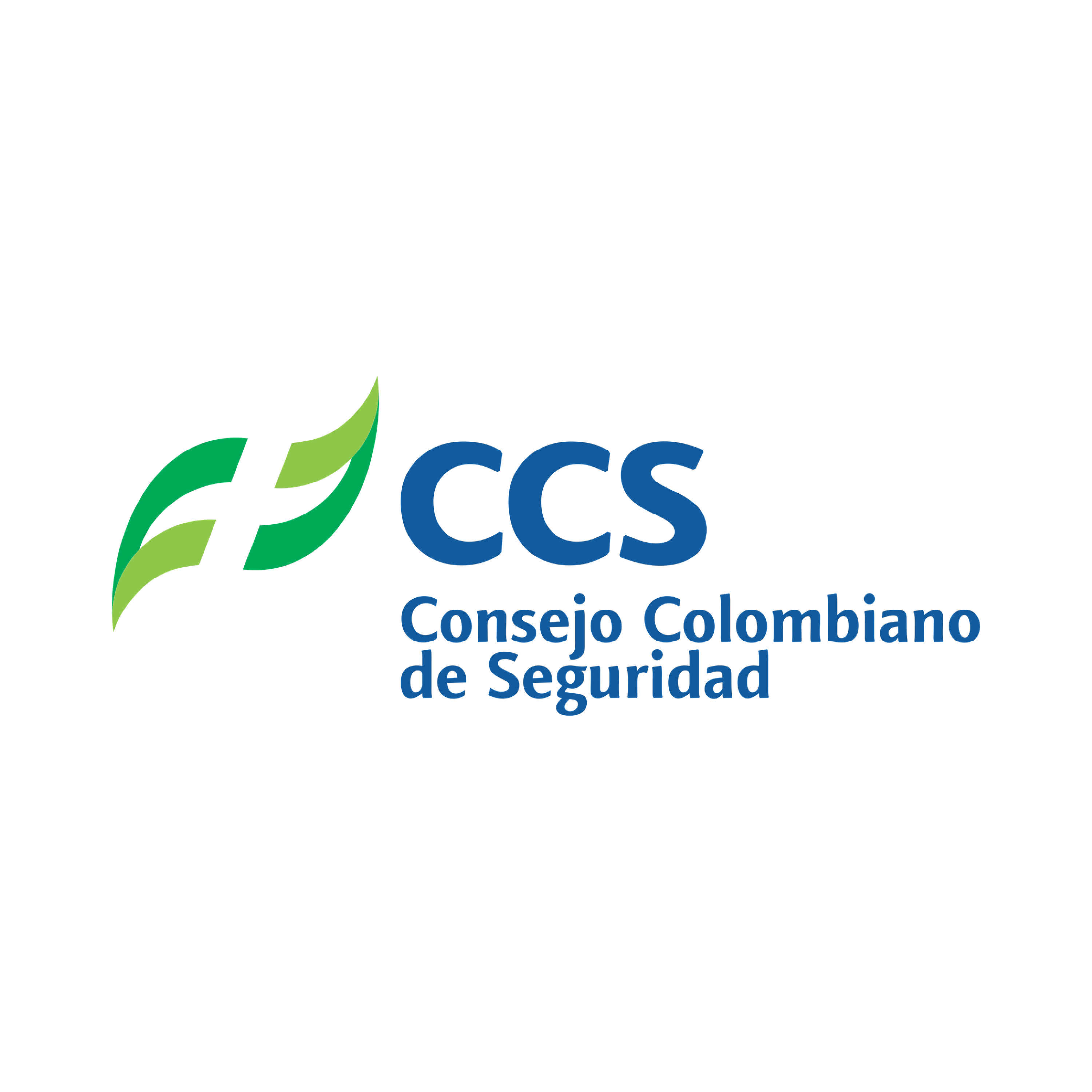 CSS.png
